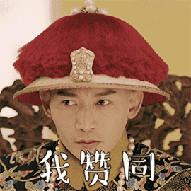 聶遠(yuǎn)我贊同.gif