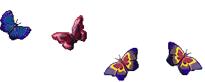 8.gif