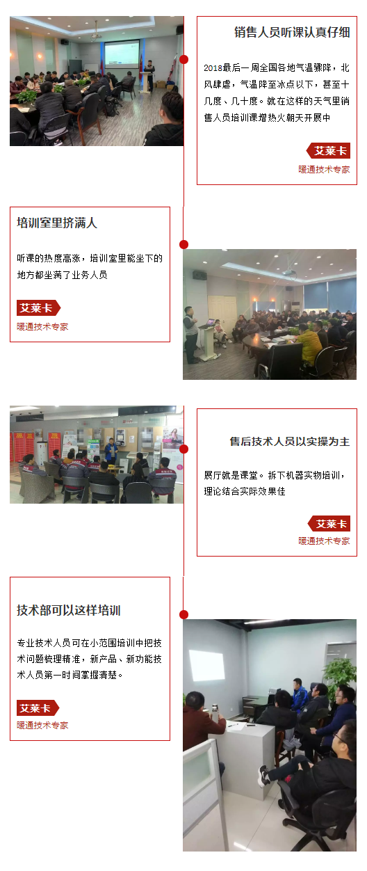 艾萊卡.png